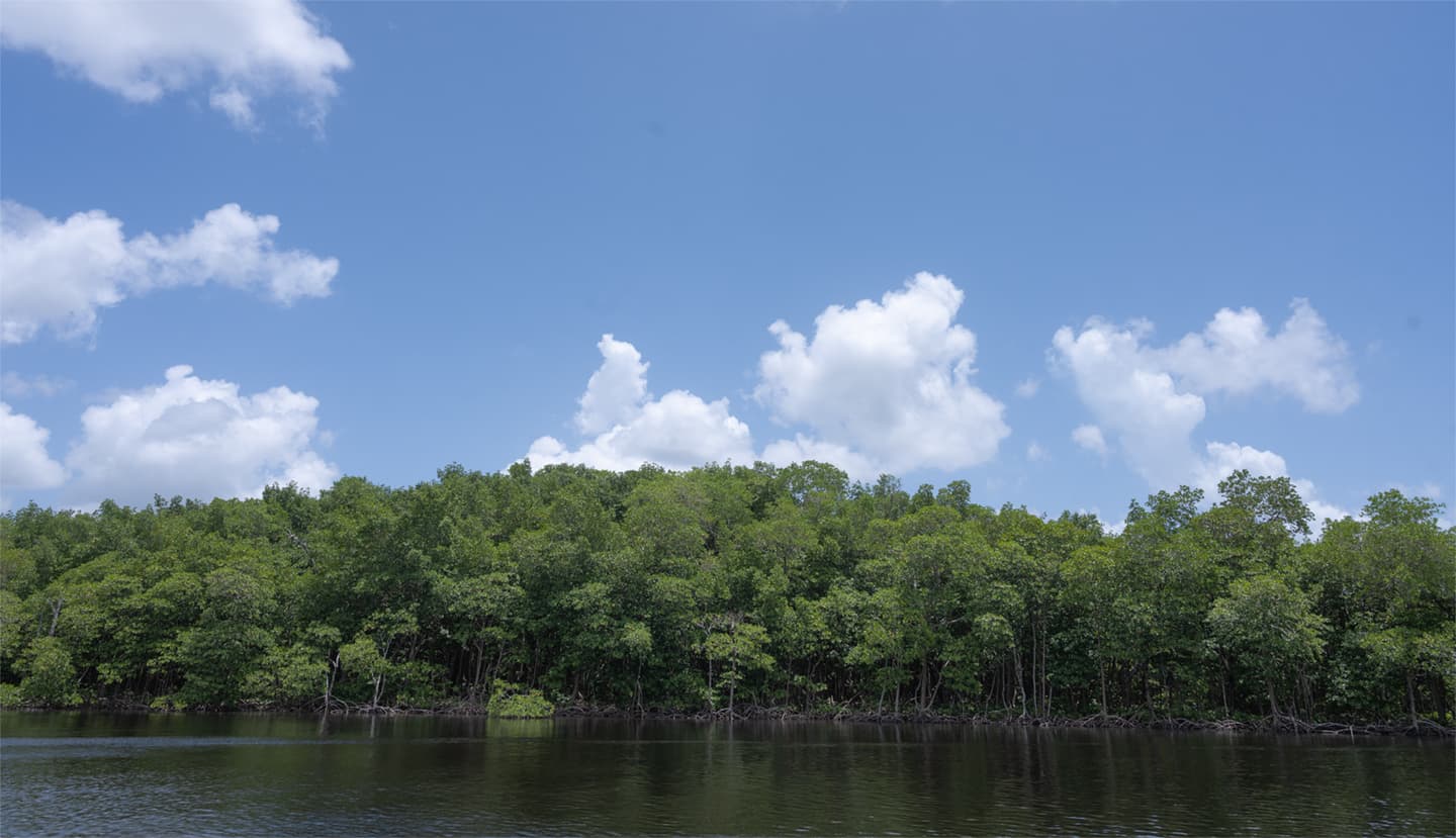 Everglades Restoration: NASA's Data-Driven Approach